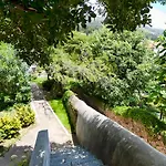 Apartment Gradac With Garden Next To Beach And Old Town