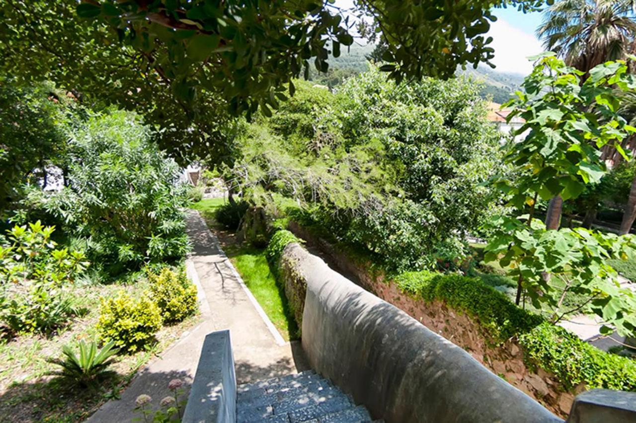 Gradac With Garden Next To And Old Town Appartement